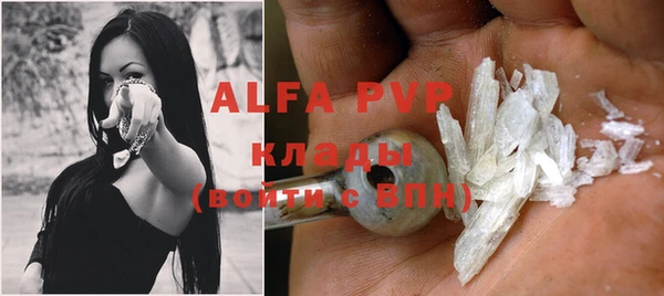 СК Аркадак