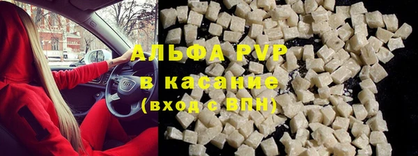 СК Аркадак