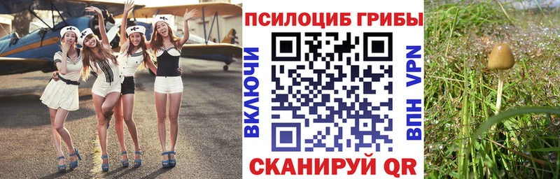 mega сайт  площадка состав  Псилоцибиновые грибы Psilocybine cubensis  Уяр 
